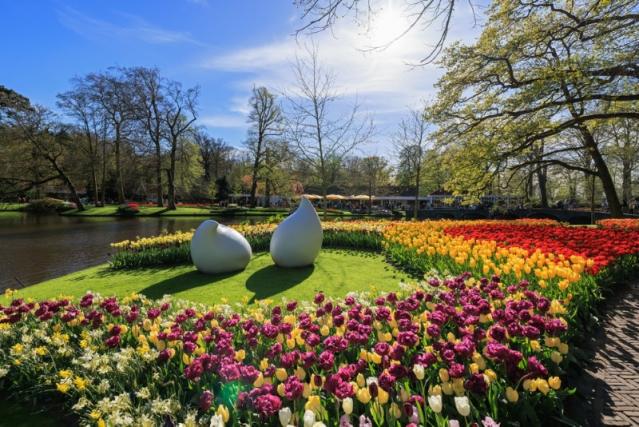 Entretien de parcs et jardins