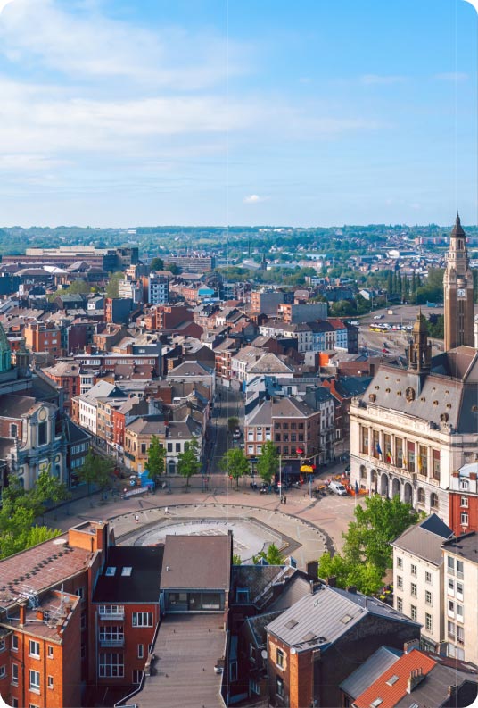 Élagage d'arbres à Charleroi et alentour : entre sécurité et esthétique